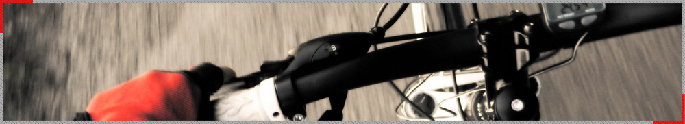 台湾山地车品牌排行_见证台湾自行车全盛时代的品牌——维乐