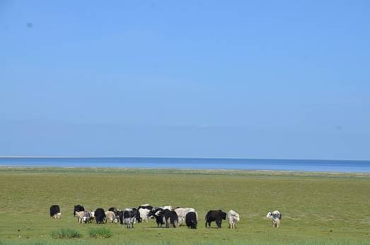 image067.jpg