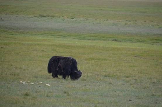 image072.jpg