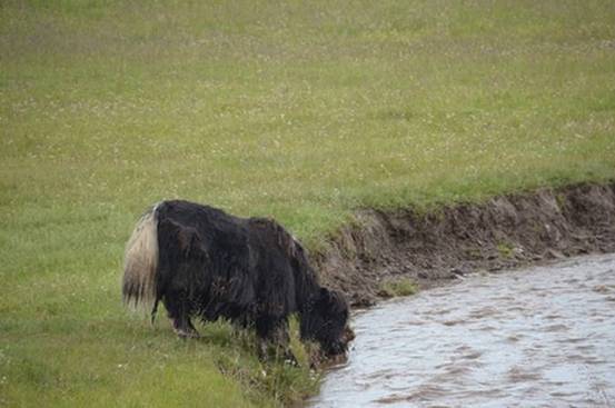 image078.jpg