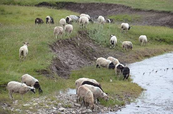 image080.jpg